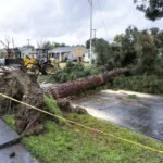 Severe storms, tornadoes, and wildfires wreak havoc across US: 10 key points – The Times of India