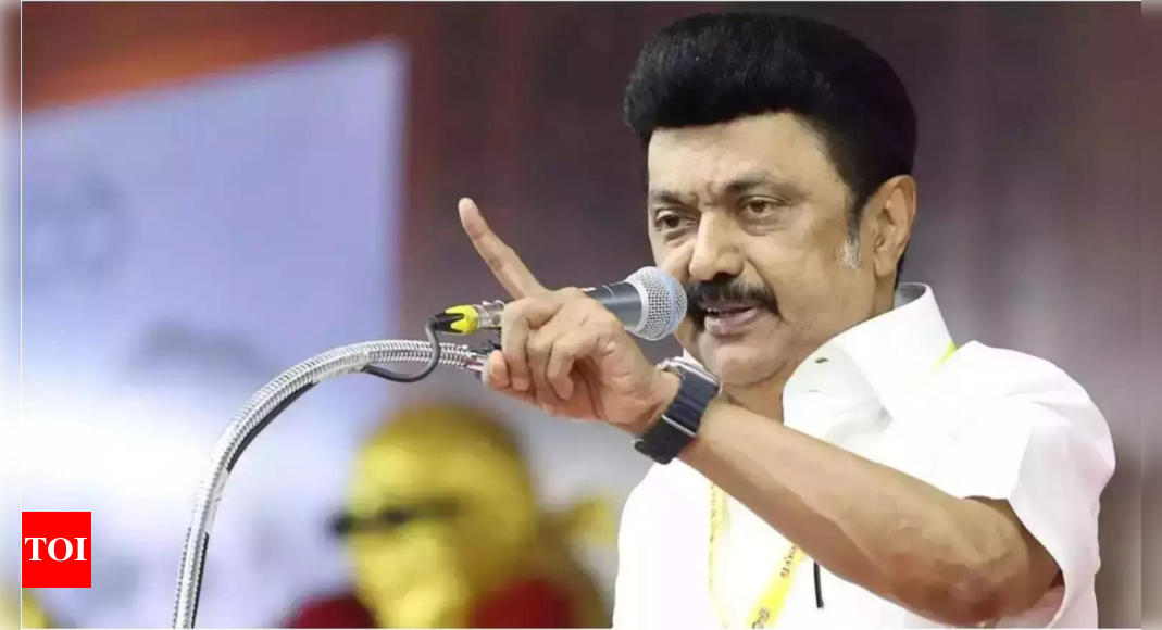 Tamil Nadu chief minister MK Stalin forms high-level panel on state autonomy amid rising tensions with Centre | Chennai News - The Times of India